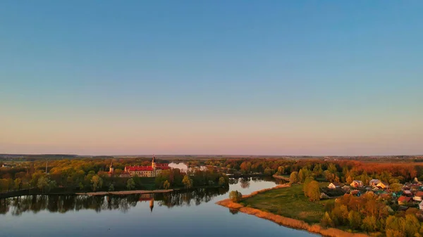 Aerial View River Tress — Stock Photo, Image