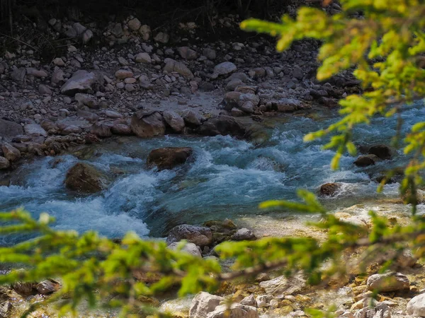 小川の水の流れを背景に石や岩が美しい木の枝の景色 — ストック写真
