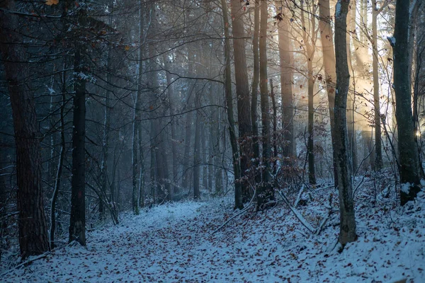 Cliché Fascinant Des Paysages Naturels Couverts Neige Par Une Froide — Photo