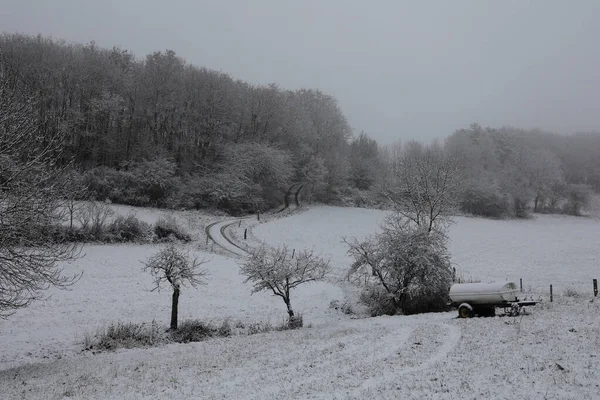 Een Prachtig Winterlandschap Met Bomen Bedekt Met Witte Sneeuw — Stockfoto