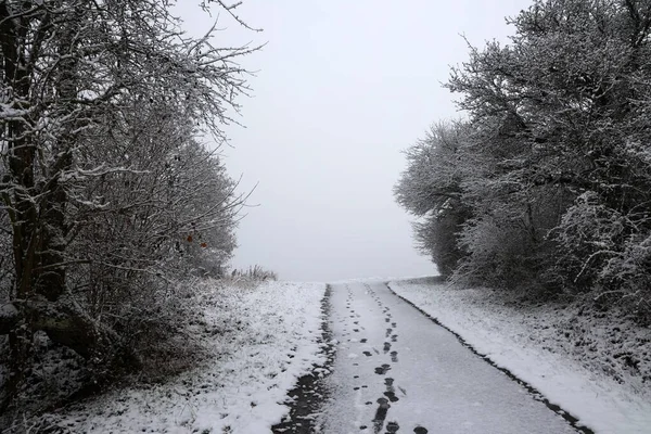 Hermoso Paisaje Invernal Con Árboles Cubiertos Nieve Blanca —  Fotos de Stock