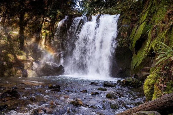 Гарний Водоспад Лісі Рай Плавців — стокове фото