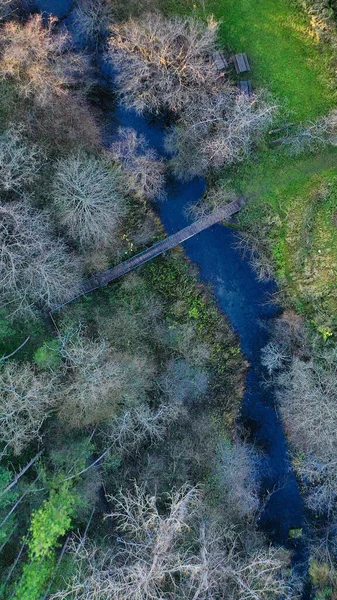 Pionowe Zdjęcie Lotnicze Rzeki Otoczonej Drzewami Różnymi Roślinami Jesienią — Zdjęcie stockowe