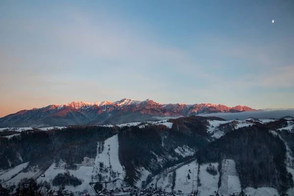 寒い冬の日に雪に覆われた自然の風景の魅惑的なショット — ストック写真