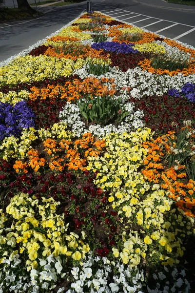 Vertikalt Skudd Med Friske Blomster Langs Stien Gaten – stockfoto