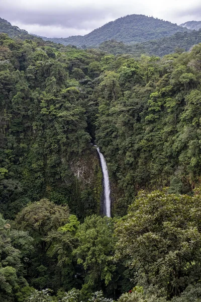 Вертикальний Знімок Водоспаду Оточений Зеленими Деревами — стокове фото
