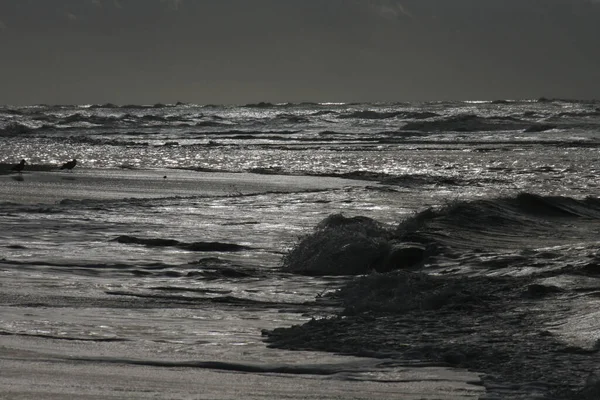 Záběr Mořských Vln Stupních Šedi Pláži Severního Moře Měsíčním Světle — Stock fotografie