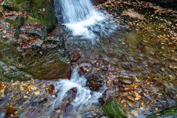 秋天德国黑森林的瀑布 瀑布森林中央的神秘瀑布 绿苔色的石头和橙色的叶子 — 图库照片
