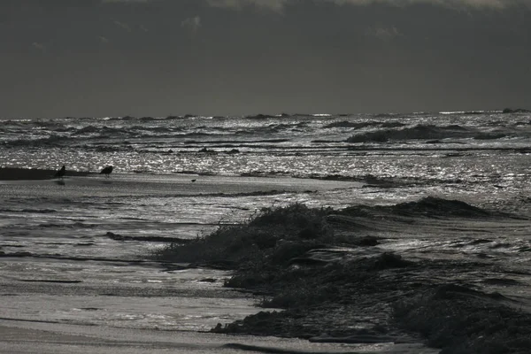 Eine Graustufenaufnahme Von Meereswellen Strand Der Nordsee Mondlicht — Stockfoto