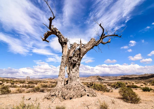 Une Belle Vue Sur Désert Tabernas Dans Province Almeria Espagne — Photo