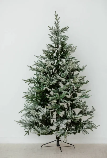 Ένα Όμορφο Και Κομψό Πράσινο Χριστουγεννιάτικο Δέντρο Ενάντια Ένα Λευκό — Φωτογραφία Αρχείου