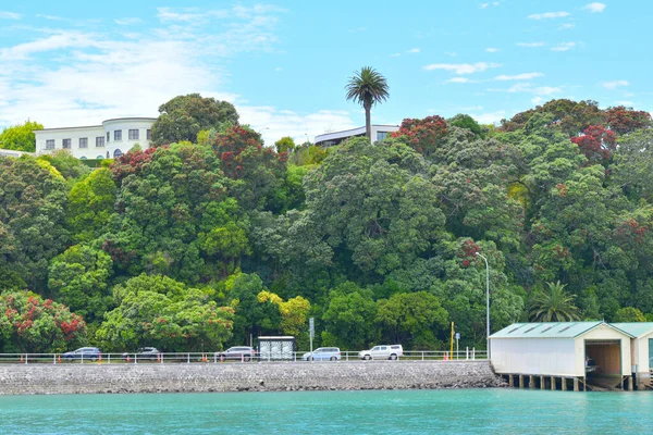 Auckland New Zealand Dec 2020 View Ngapipi Road Hobson Point — Stock Photo, Image