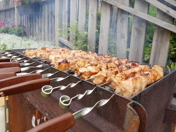 Delicioso Frango Grelhado Churrasco Quintal — Fotografia de Stock