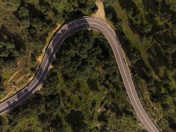 Aerial View Road Forest — Stock Photo, Image