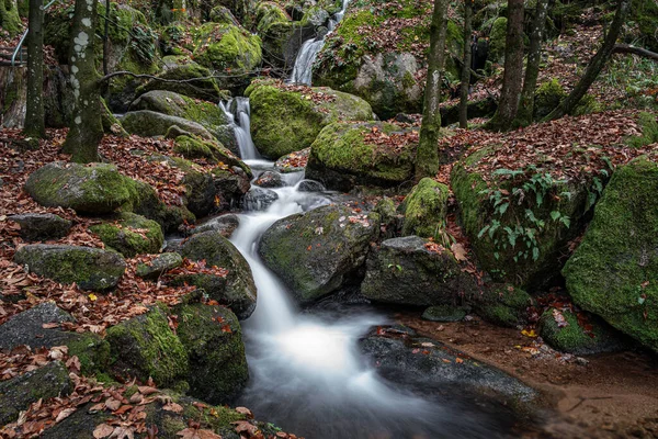 Vue Rapprochée Une Cascade Mystique Dans Forêt Noire Avec Des — Photo