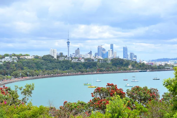 Auckland Neuseeland 2020 Blick Vom Hobson Point Auf Den Tamaki — Stockfoto