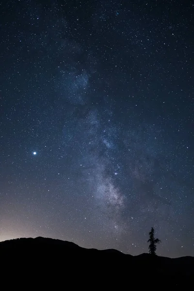 Tiro Vertical Uma Árvore Uma Colina Sob Bela Noite Estrelada — Fotografia de Stock