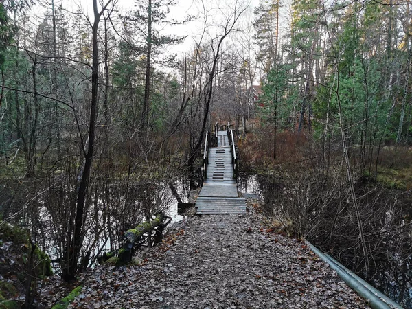 Superbe Plan Pont Bois Traversant Lac Farris Larvik Norvège — Photo