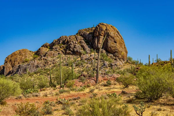Imagen Una Vista Famosa Butte Elefante Arizona Que Una Formación —  Fotos de Stock