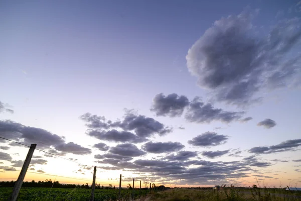 Pôr Sol Campo Perto Juan Lacaze Com Céu Azulado Algumas — Fotografia de Stock