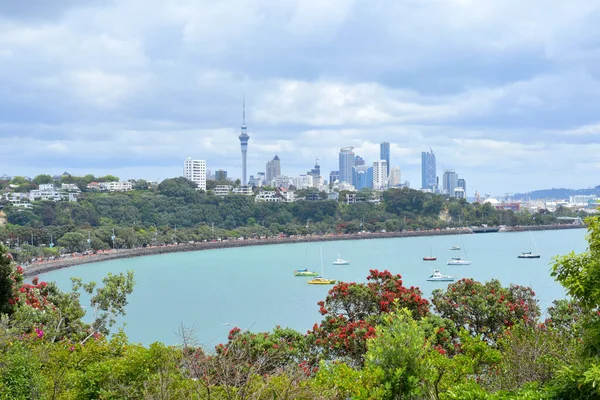 Auckland Neuseeland 2020 Blick Vom Hobson Point Auf Den Tamaki — Stockfoto