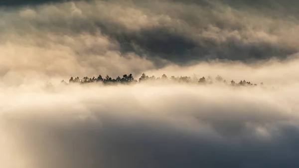 Vista Incrível Das Montanhas Floresta Negra Com Nevoeiro Vale Pôr — Fotografia de Stock
