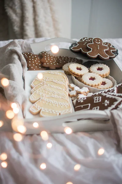Χριστουγεννιάτικο Κουτί Μπισκότων Διακοπών Μπισκότα Ζάχαρης Διακοσμημένα Βασιλικό Κερασάκι Μπισκότα — Φωτογραφία Αρχείου