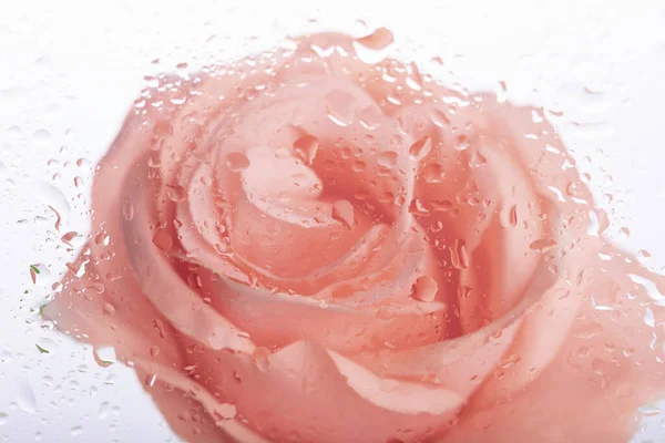 Gros Plan Gouttelettes Eau Sur Verre Avec Fond Rose Rose — Photo