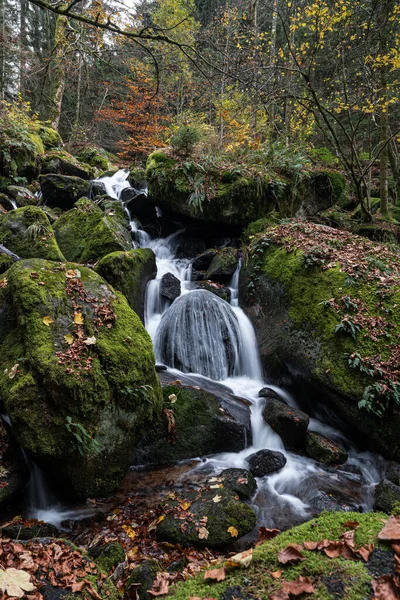 黑森林里的瀑布瀑布 秋天的树叶和苔藓斑斑的岩石 隐秘的景象 — 图库照片