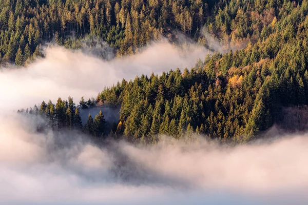 Neuvěřitelný Pohled Hory Černého Lesa Přízemní Mlhou Údolí Při Západu — Stock fotografie