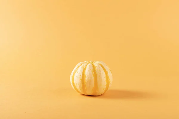Primer Plano Calabazas Frescas Aisladas Sobre Fondo Naranja — Foto de Stock