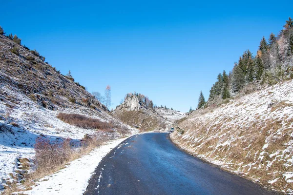 Tiro Perto Uma Estrada Vazia Cercada Por Árvores Inverno — Fotografia de Stock