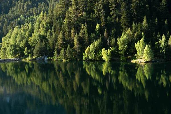 夏天阳光明媚的一天 湖面被茂密的绿树环抱 美丽的照片 — 图库照片