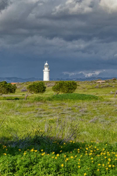 Plan Vertical Beau Champ Phare Loin — Photo