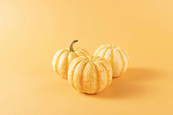 Primer Plano Tres Calabazas Aisladas Sobre Fondo Naranja — Foto de Stock