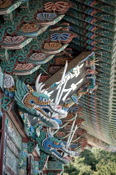 釜山での龍の垂直射撃 — ストック写真