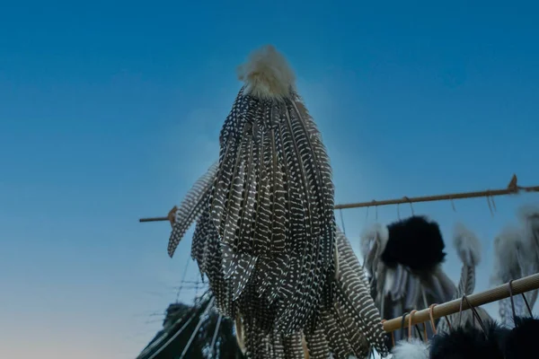 Askıda Çizgiler Olan Gri Kuş Tüylerinin Yakın Plan Çekimi — Stok fotoğraf