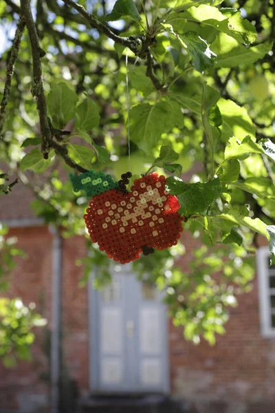 Vertical Shot Handmade Apple Hanging Tree Christiansfeld Denmark — Stockfoto