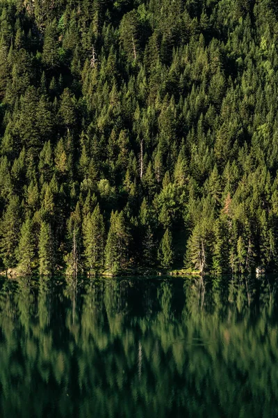 Tiro Vertical Lago Cercado Com Árvores Verdes Grossas Dia Ensolarado — Fotografia de Stock