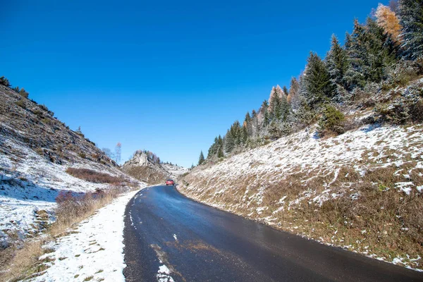 Tiro Perto Uma Estrada Vazia Cercada Por Árvores Inverno — Fotografia de Stock