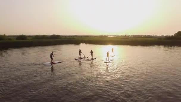 Uma Vista Aérea Das Pessoas Standup Paddleboarding Lago Pôr Sol — Vídeo de Stock