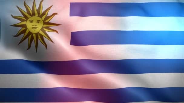 Zbliżenie Ujęcia Flagi Urugwaju Machającego Światłami — Wideo stockowe