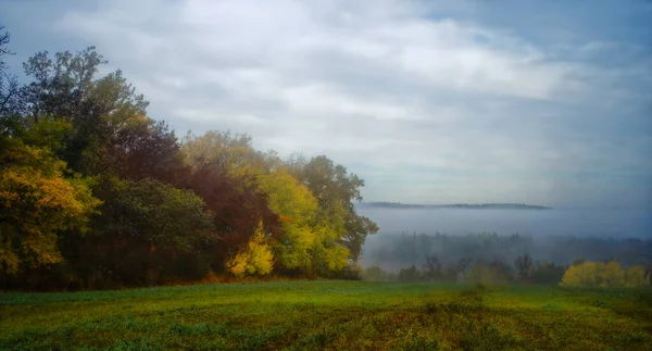 Een Prachtig Shot Van Een Herfst Woud Een Mistige Dag — Stockfoto