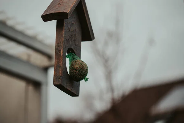 Ein Selektiver Fokusschuss Eines Fetten Balles Für Vögel Einem Grünen — Stockfoto