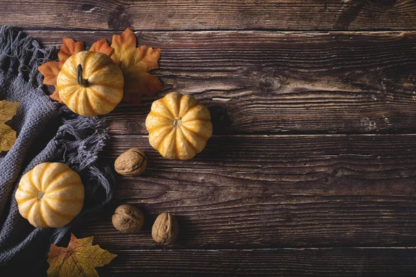 Top View Fresh Pumpkins Walnuts Autumn Leaves Gray Blanket — Stock Photo, Image