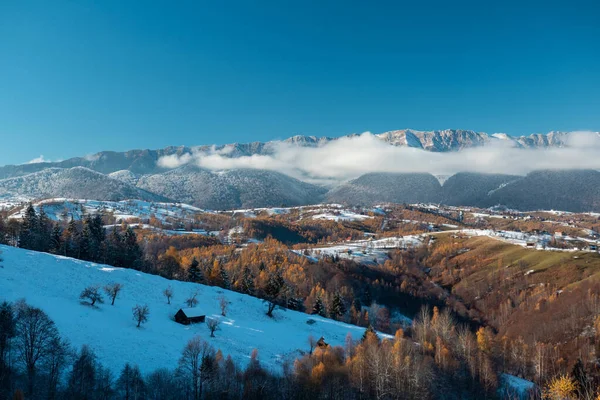 Primer Plano Bosque Árboles Otoño Bajo Cielo Brillante Invierno —  Fotos de Stock