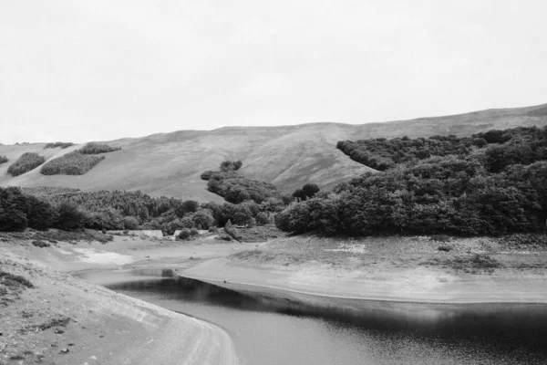 Сірий Знімок Річки Оточеної Деревами Пагорбами — стокове фото
