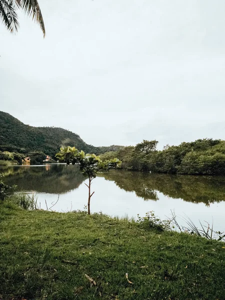 Okouzlující Záběr Klidné Jezero Obklopené Stromy — Stock fotografie