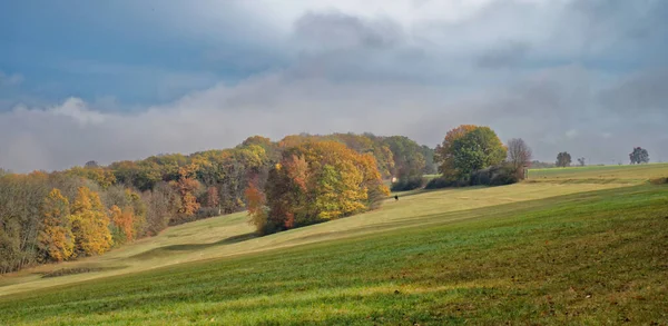 Eine Schöne Aufnahme Von Einem Herbstlichen Wald — Stockfoto