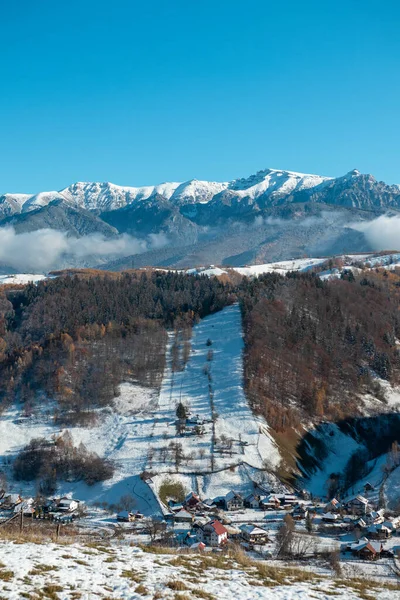 Tiro Vertical Uma Floresta Abaixo Céu Brilhante Inverno — Fotografia de Stock